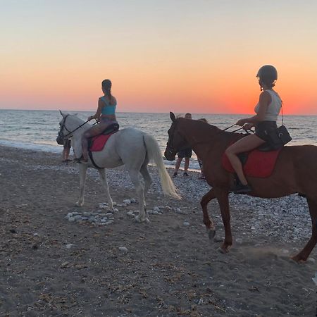 Maison Caroual Erquy 500M De La Plage 외부 사진